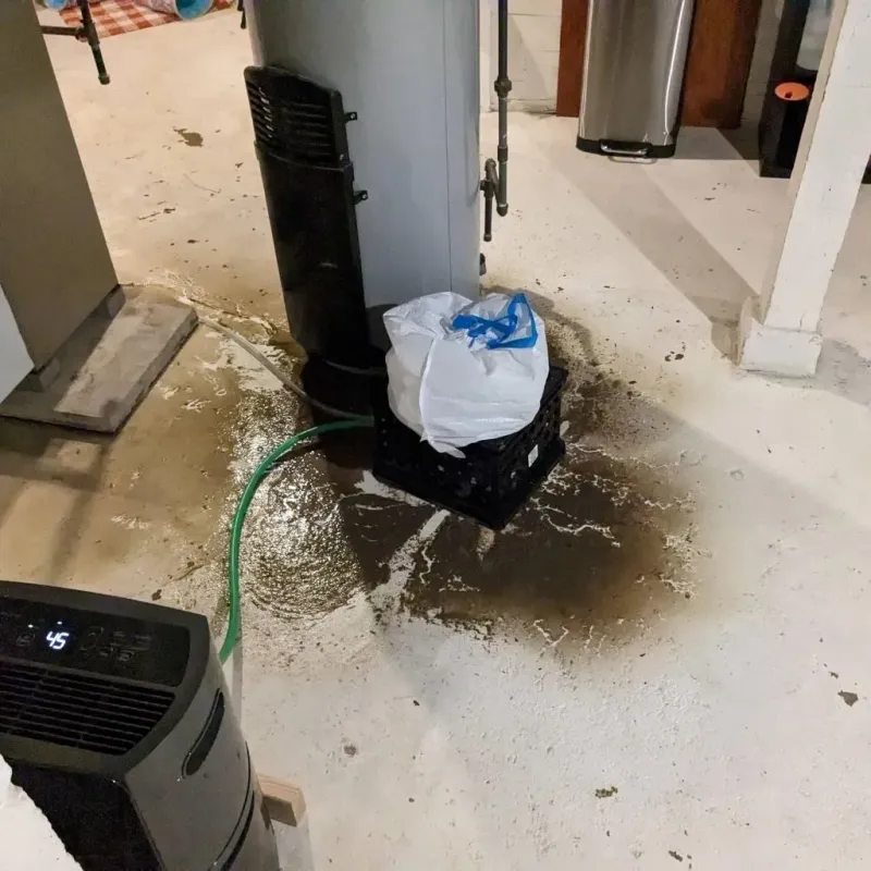 Sewage Backup Cleanup Service in Castleton-on-Hudson, NY